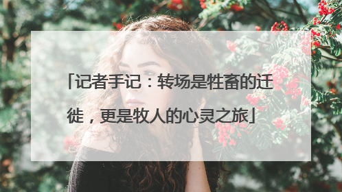 记者手记：转场是牲畜的迁徙，更是牧人的心灵之旅