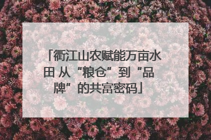 衢江山农赋能万亩水田 从“粮仓”到“品牌”的共富密码