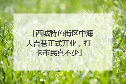 西城特色街区中海大吉巷正式开业，打卡市民真不少