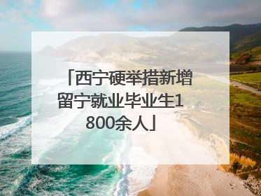 西宁硬举措新增留宁就业毕业生1800余人