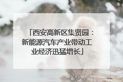 西安高新区集贤园：新能源汽车产业带动工业经济迅猛增长