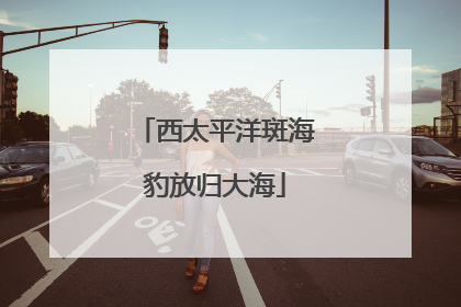西太平洋斑海豹放归大海