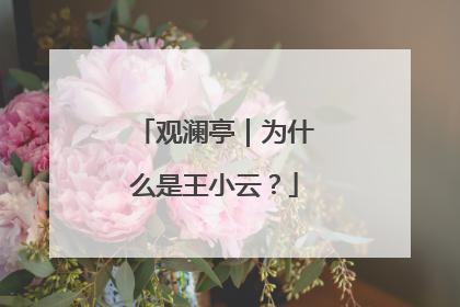 观澜亭｜为什么是王小云？