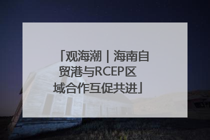 观海潮｜海南自贸港与RCEP区域合作互促共进