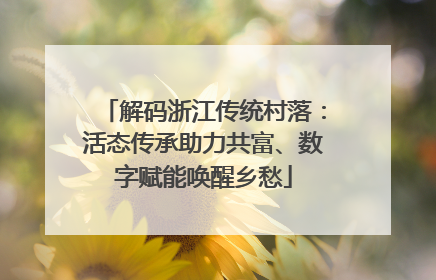 解码浙江传统村落：活态传承助力共富、数字赋能唤醒乡愁