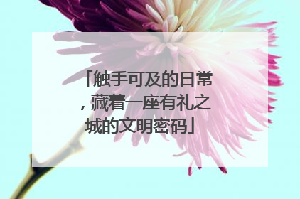 触手可及的日常，藏着一座有礼之城的文明密码