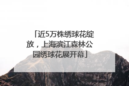 近5万株绣球花绽放，上海滨江森林公园绣球花展开幕
