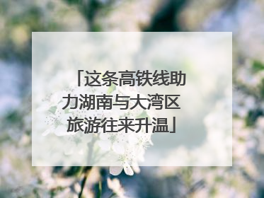 这条高铁线助力湖南与大湾区旅游往来升温