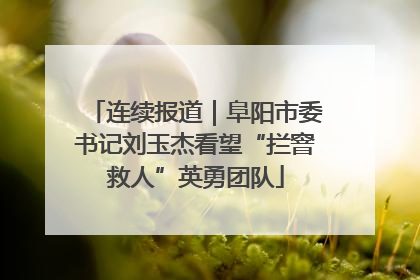 连续报道｜阜阳市委书记刘玉杰看望“拦窨救人”英勇团队