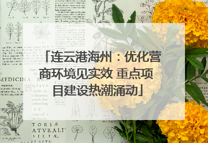 连云港海州：优化营商环境见实效 重点项目建设热潮涌动