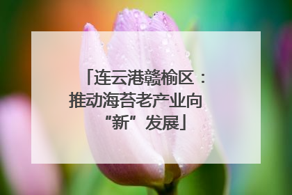 连云港赣榆区：推动海苔老产业向“新”发展
