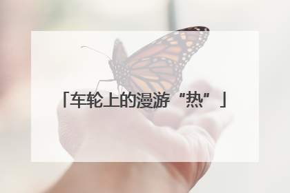车轮上的漫游“热”
