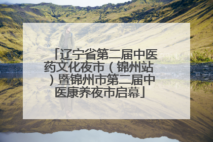 辽宁省第二届中医药文化夜市（锦州站）暨锦州市第二届中医康养夜市启幕