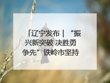 辽宁发布｜“振兴新突破 决胜勇争先”铁岭市坚持“项目为王”推进经济高质量发展