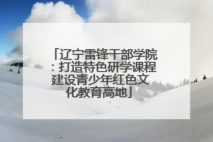 辽宁雷锋干部学院：打造特色研学课程 建设青少年红色文化教育高地