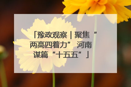 豫政观察｜聚焦“两高四着力” 河南谋篇“十五五”