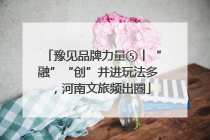 豫见品牌力量⑤丨“融”“创”并进玩法多，河南文旅频出圈