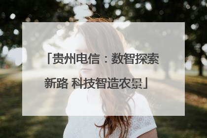 贵州电信：数智探索新路 科技智造农景