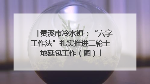贵溪市冷水镇：“六字工作法”扎实推进二轮土地延包工作（图）