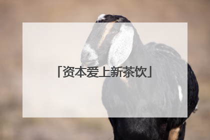 资本爱上新茶饮