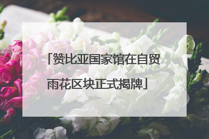 赞比亚国家馆在自贸雨花区块正式揭牌