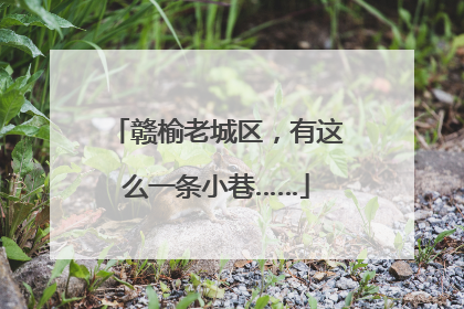 赣榆老城区，有这么一条小巷……