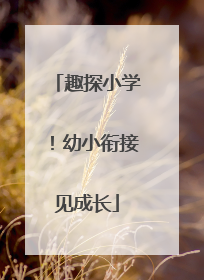 趣探小学！幼小衔接见成长
