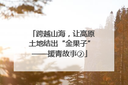 跨越山海，让高原土地结出“金果子”——援青故事②