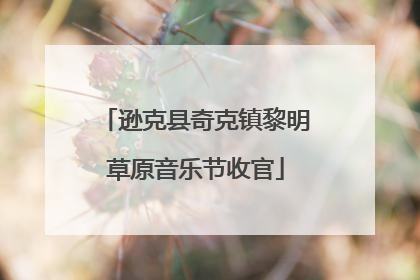 逊克县奇克镇黎明草原音乐节收官