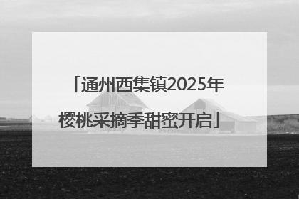通州西集镇2025年樱桃采摘季甜蜜开启
