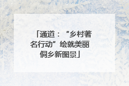 通道：“乡村著名行动”绘就美丽侗乡新图景