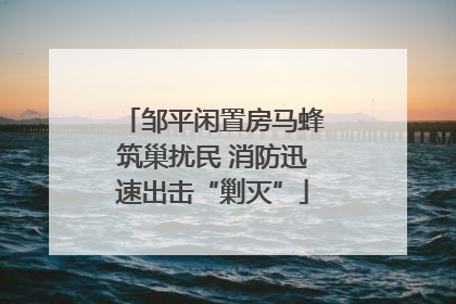 邹平闲置房马蜂筑巢扰民 消防迅速出击“剿灭”