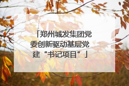 郑州城发集团党委创新驱动基层党建“书记项目”