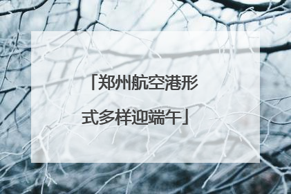 郑州航空港形式多样迎端午