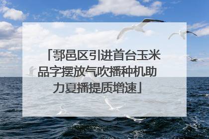 鄠邑区引进首台玉米品字摆放气吹播种机助力夏播提质增速