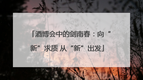 酒博会中的剑南春：向“新”求质 从“新”出发