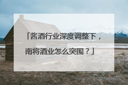 酱酒行业深度调整下，南将酒业怎么突围？