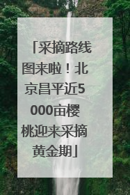 采摘路线图来啦！北京昌平近5000亩樱桃迎来采摘黄金期