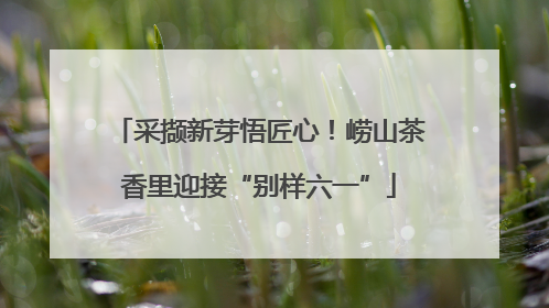 采撷新芽悟匠心！崂山茶香里迎接“别样六一”