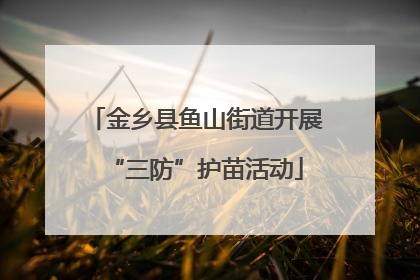 金乡县鱼山街道开展“三防”护苗活动