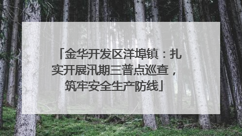 金华开发区洋埠镇：扎实开展汛期三普点巡查，筑牢安全生产防线