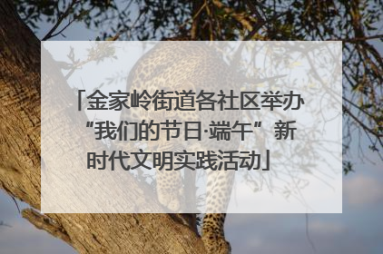 金家岭街道各社区举办“我们的节日·端午”新时代文明实践活动