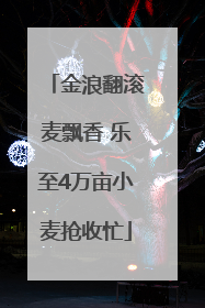 金浪翻滚麦飘香 乐至4万亩小麦抢收忙