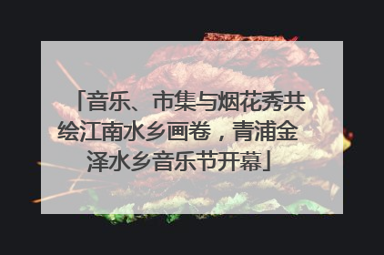 音乐、市集与烟花秀共绘江南水乡画卷，青浦金泽水乡音乐节开幕