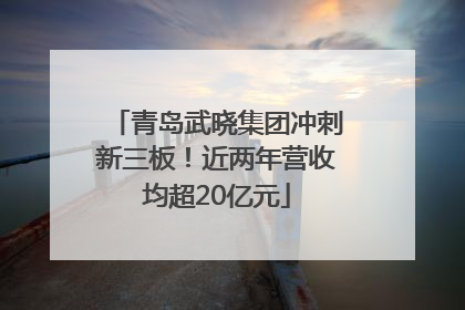 青岛武晓集团冲刺新三板！近两年营收均超20亿元