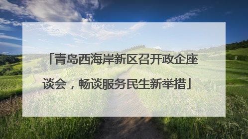 青岛西海岸新区召开政企座谈会，畅谈服务民生新举措