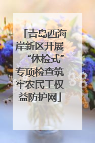 青岛西海岸新区开展“体检式”专项检查筑牢农民工权益防护网