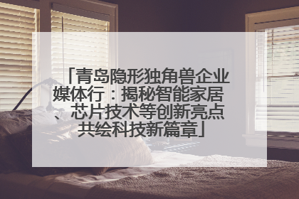 青岛隐形独角兽企业媒体行：揭秘智能家居、芯片技术等创新亮点 共绘科技新篇章