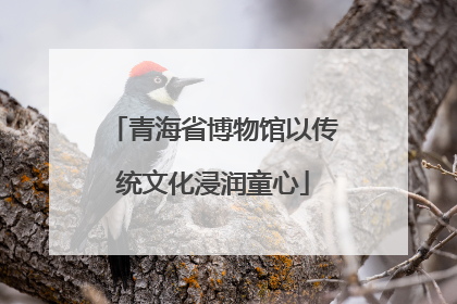 青海省博物馆以传统文化浸润童心