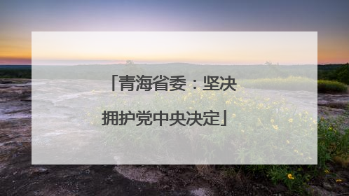 青海省委：坚决拥护党中央决定